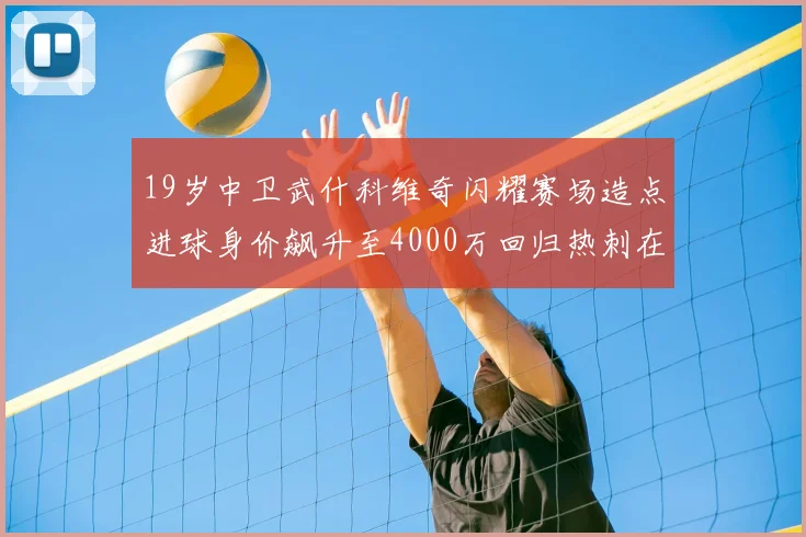 19岁中卫武什科维奇闪耀赛场造点进球身价飙升至4000万回归热刺在即
