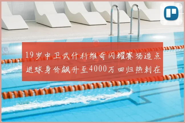 19岁中卫武什科维奇闪耀赛场造点进球身价飙升至4000万回归热刺在即