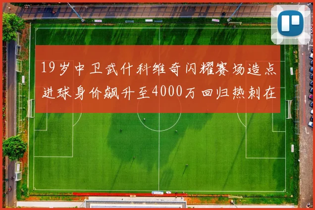 19岁中卫武什科维奇闪耀赛场造点进球身价飙升至4000万回归热刺在即