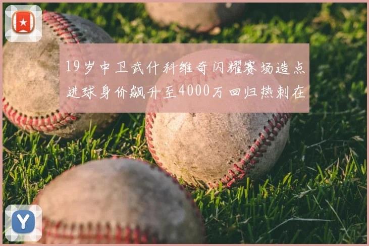 19岁中卫武什科维奇闪耀赛场造点进球身价飙升至4000万回归热刺在即