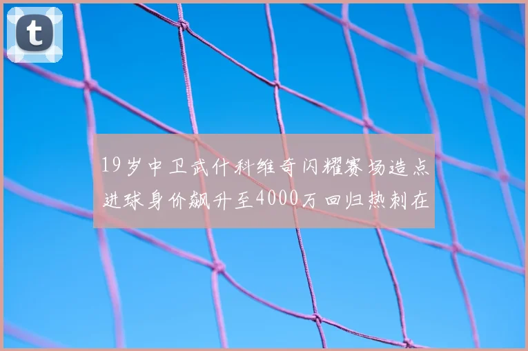 19岁中卫武什科维奇闪耀赛场造点进球身价飙升至4000万回归热刺在即