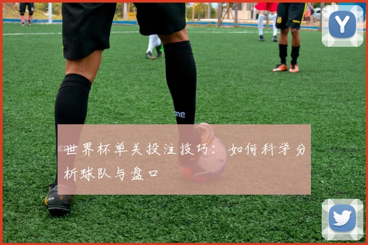 世界杯单关投注技巧：如何科学分析球队与盘口