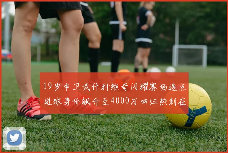 19岁中卫武什科维奇闪耀赛场造点进球身价飙升至4000万回归热刺在即
