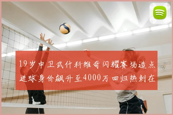 19岁中卫武什科维奇闪耀赛场造点进球身价飙升至4000万回归热刺在即