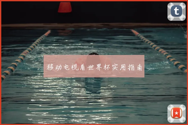 移动电视看世界杯实用指南