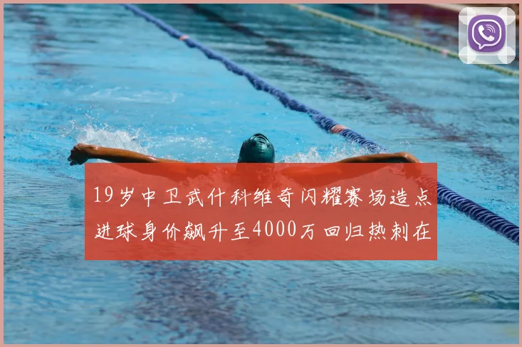 19岁中卫武什科维奇闪耀赛场造点进球身价飙升至4000万回归热刺在即