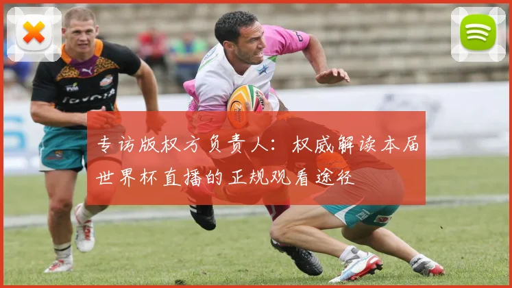 专访版权方负责人：权威解读本届世界杯直播的正规观看途径