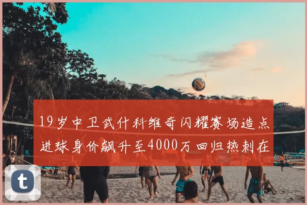 19岁中卫武什科维奇闪耀赛场造点进球身价飙升至4000万回归热刺在即