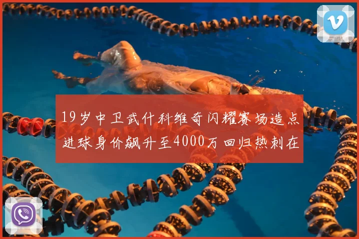 19岁中卫武什科维奇闪耀赛场造点进球身价飙升至4000万回归热刺在即
