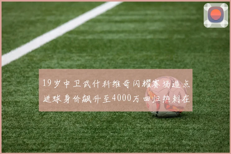 19岁中卫武什科维奇闪耀赛场造点进球身价飙升至4000万回归热刺在即