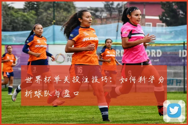 世界杯单关投注技巧：如何科学分析球队与盘口