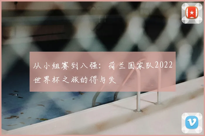 从小组赛到八强：荷兰国家队2022世界杯之旅的得与失