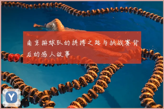 南京排球队的拼搏之路与挑战赛背后的感人故事