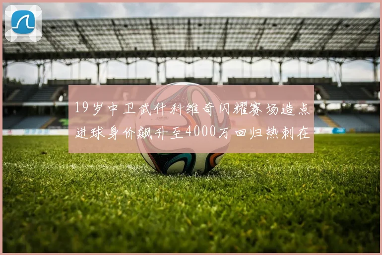 19岁中卫武什科维奇闪耀赛场造点进球身价飙升至4000万回归热刺在即