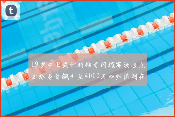 19岁中卫武什科维奇闪耀赛场造点进球身价飙升至4000万回归热刺在即