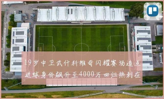 19岁中卫武什科维奇闪耀赛场造点进球身价飙升至4000万回归热刺在即