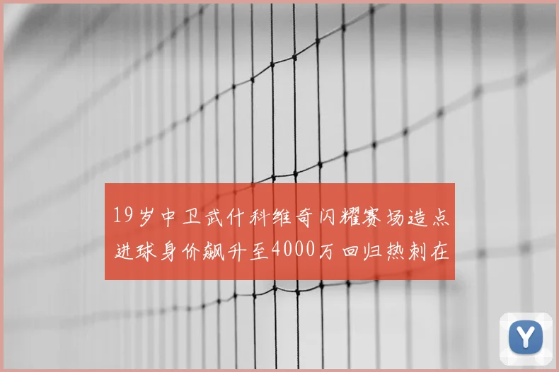 19岁中卫武什科维奇闪耀赛场造点进球身价飙升至4000万回归热刺在即