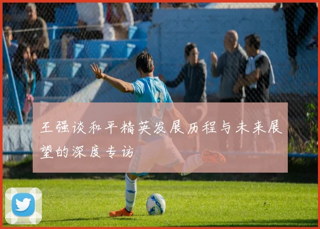 王强谈和平精英发展历程与未来展望的深度专访