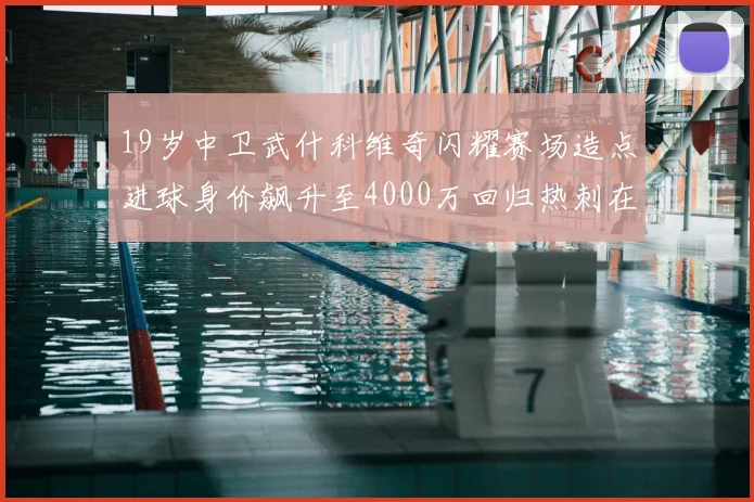 19岁中卫武什科维奇闪耀赛场造点进球身价飙升至4000万回归热刺在即