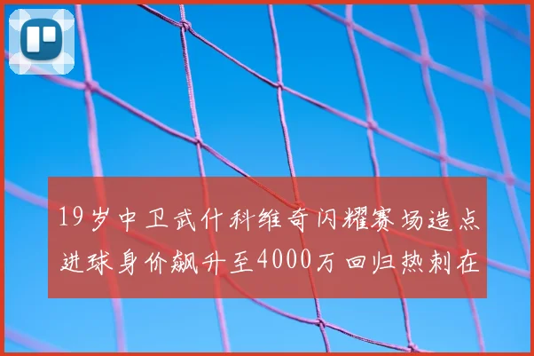 19岁中卫武什科维奇闪耀赛场造点进球身价飙升至4000万回归热刺在即