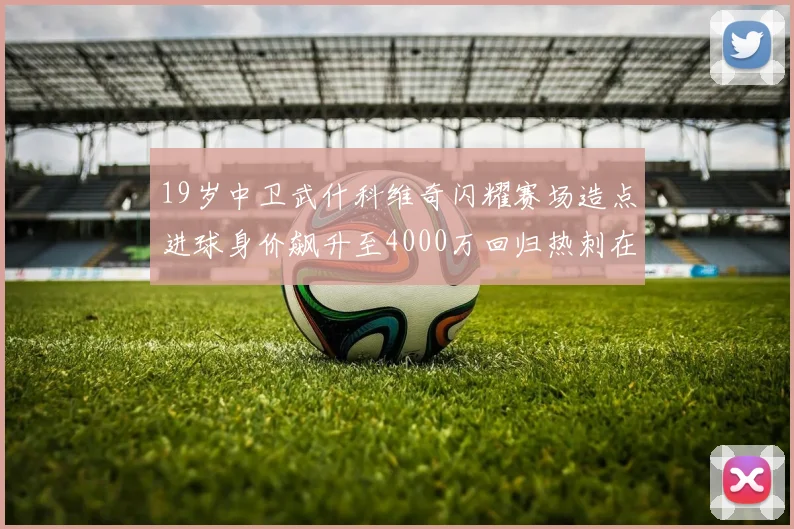 19岁中卫武什科维奇闪耀赛场造点进球身价飙升至4000万回归热刺在即