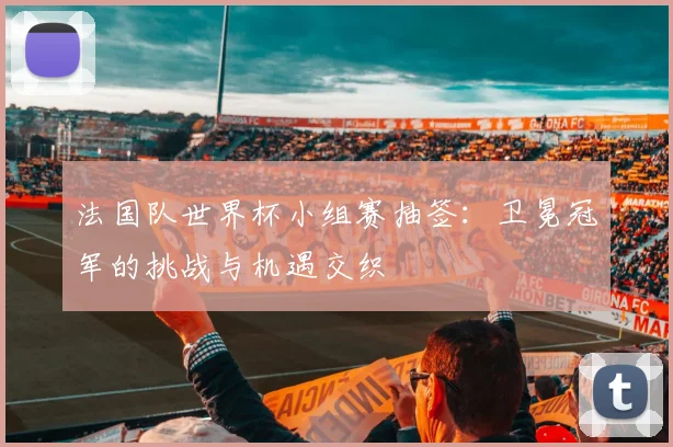 法国队世界杯小组赛抽签:卫冕冠军的挑战与机遇交织