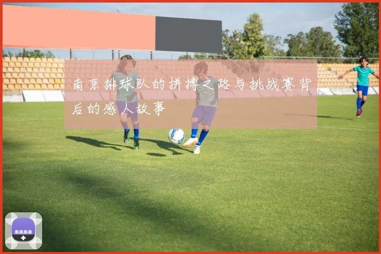南京排球队的拼搏之路与挑战赛背后的感人故事