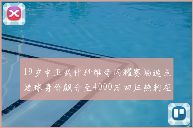 19岁中卫武什科维奇闪耀赛场造点进球身价飙升至4000万回归热刺在即