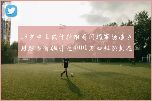 19岁中卫武什科维奇闪耀赛场造点进球身价飙升至4000万回归热刺在即