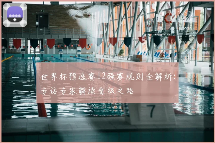 世界杯预选赛12强赛规则全解析：专访专家解读晋级之路
