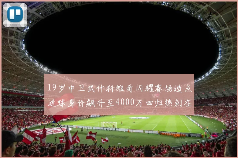 19岁中卫武什科维奇闪耀赛场造点进球身价飙升至4000万回归热刺在即