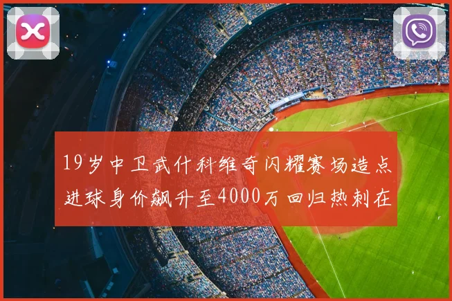 19岁中卫武什科维奇闪耀赛场造点进球身价飙升至4000万回归热刺在即