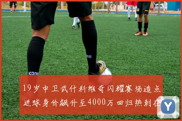 19岁中卫武什科维奇闪耀赛场造点进球身价飙升至4000万回归热刺在即
