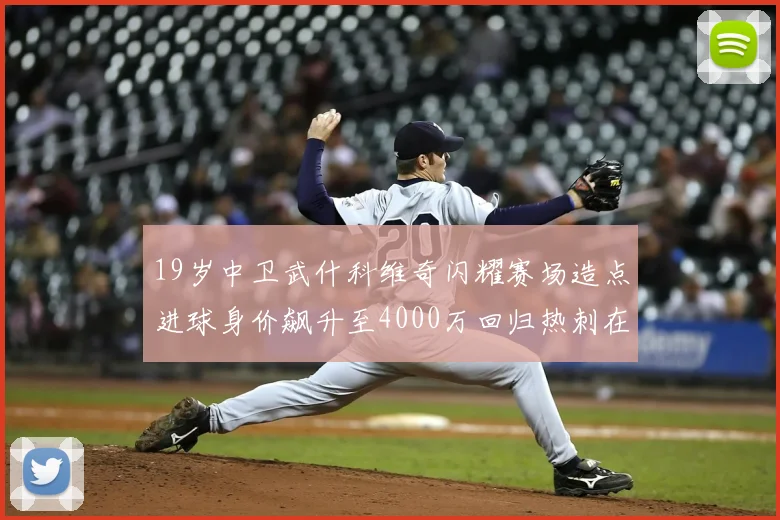 19岁中卫武什科维奇闪耀赛场造点进球身价飙升至4000万回归热刺在即