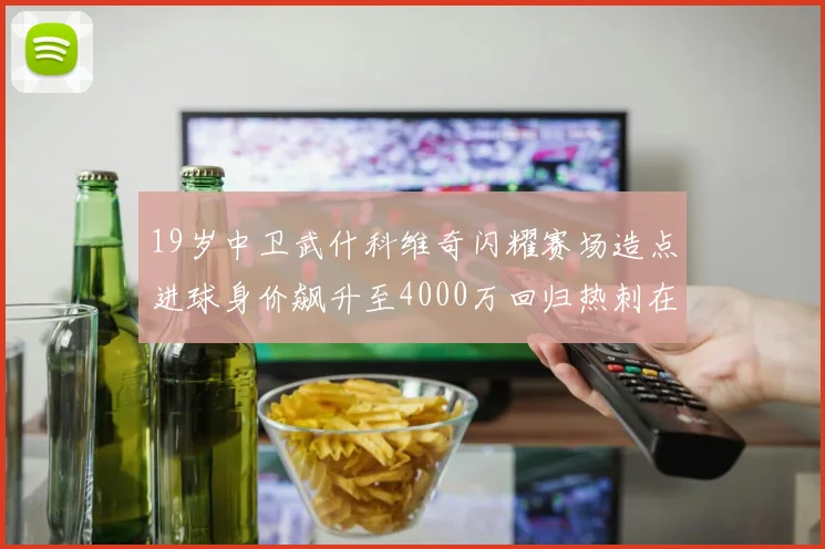 19岁中卫武什科维奇闪耀赛场造点进球身价飙升至4000万回归热刺在即