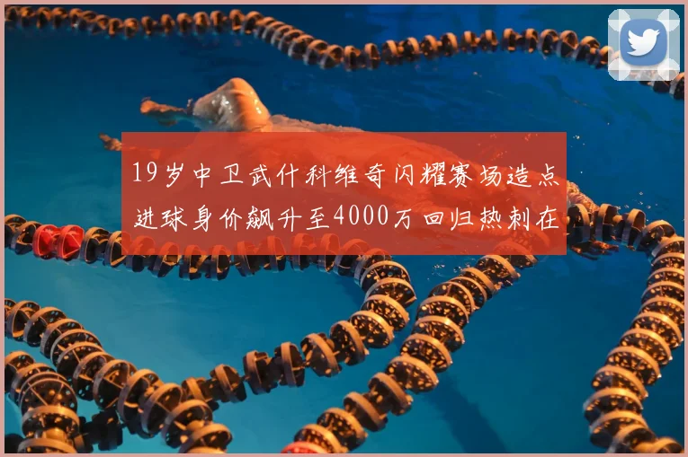19岁中卫武什科维奇闪耀赛场造点进球身价飙升至4000万回归热刺在即