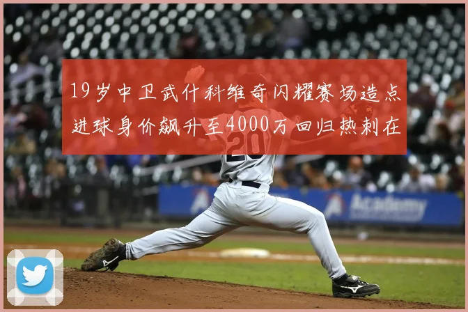 19岁中卫武什科维奇闪耀赛场造点进球身价飙升至4000万回归热刺在即