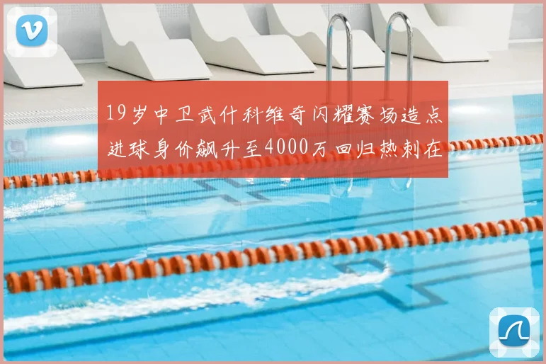 19岁中卫武什科维奇闪耀赛场造点进球身价飙升至4000万回归热刺在即