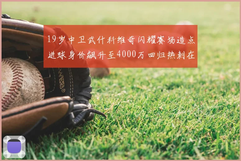 19岁中卫武什科维奇闪耀赛场造点进球身价飙升至4000万回归热刺在即