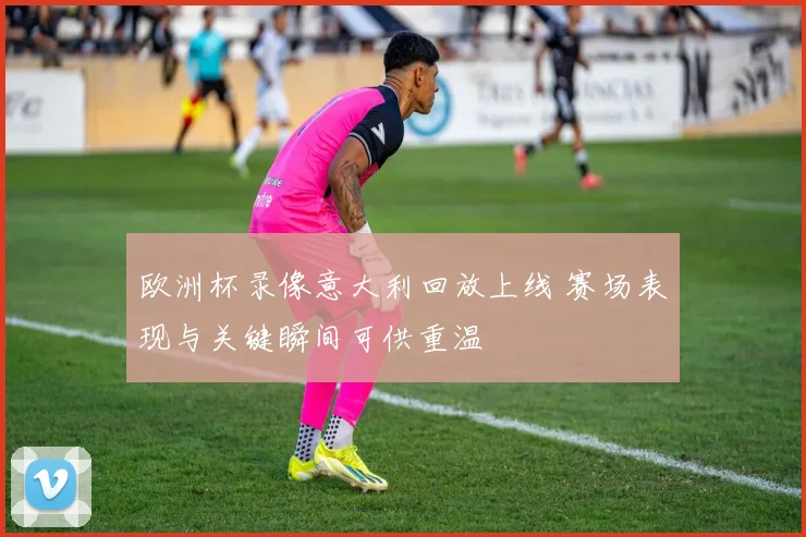 欧洲杯录像意大利回放上线 赛场表现与关键瞬间可供重温