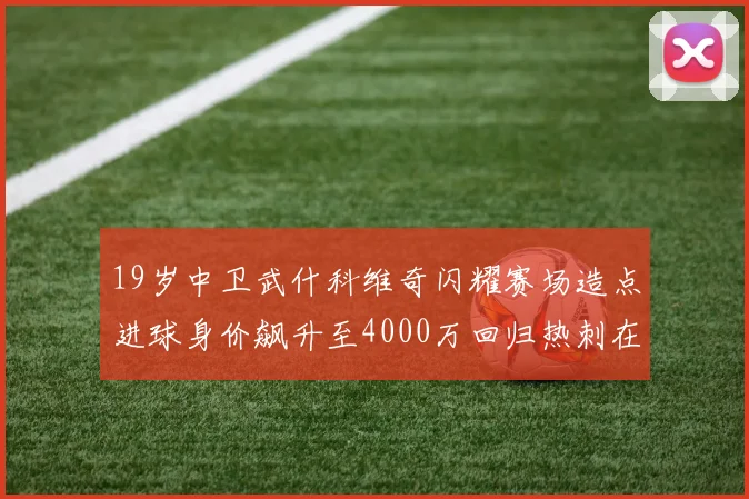 19岁中卫武什科维奇闪耀赛场造点进球身价飙升至4000万回归热刺在即