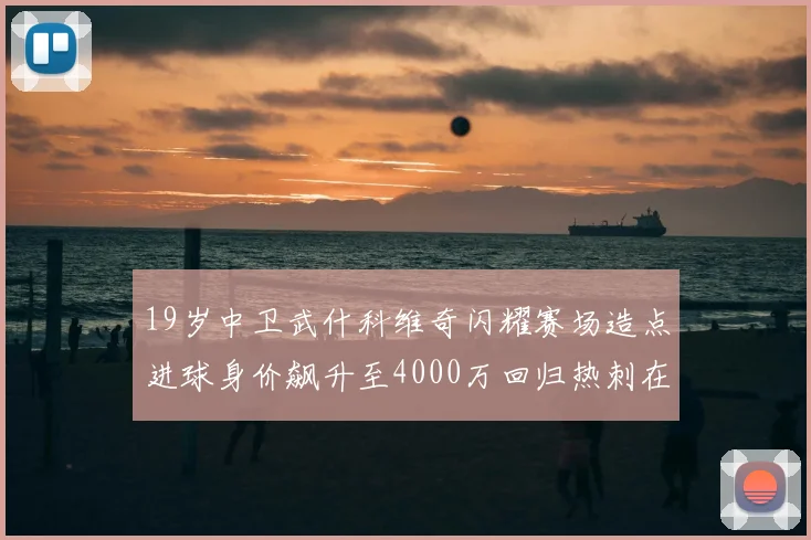 19岁中卫武什科维奇闪耀赛场造点进球身价飙升至4000万回归热刺在即