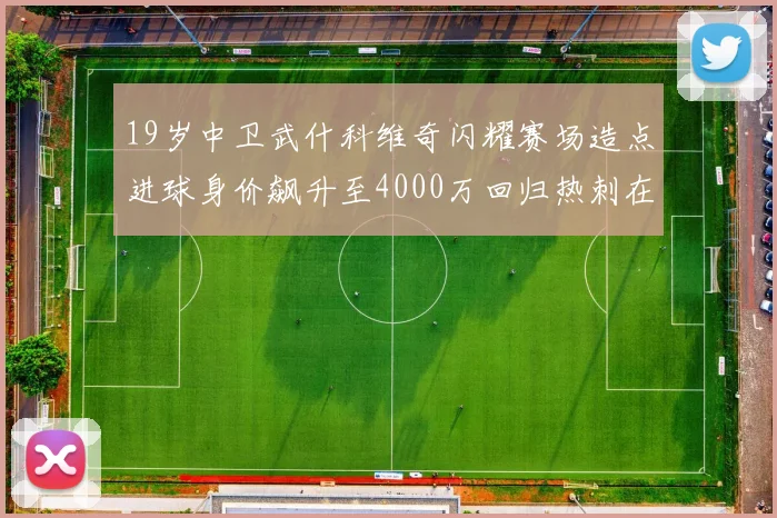 19岁中卫武什科维奇闪耀赛场造点进球身价飙升至4000万回归热刺在即