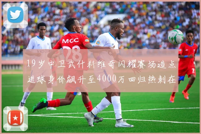 19岁中卫武什科维奇闪耀赛场造点进球身价飙升至4000万回归热刺在即