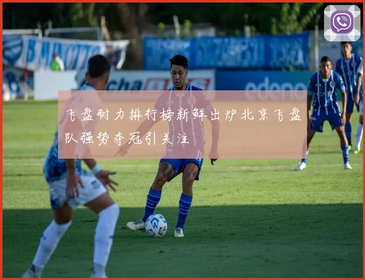 飞盘耐力排行榜新鲜出炉北京飞盘队强势夺冠引关注