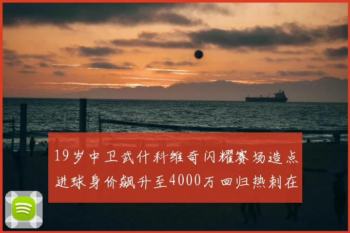 19岁中卫武什科维奇闪耀赛场造点进球身价飙升至4000万回归热刺在即